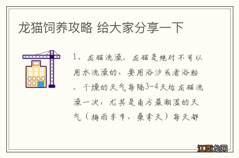 龙猫饲养攻略 给大家分享一下