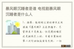 暴风眼沉睡者是谁 电视剧暴风眼沉睡者是什么人