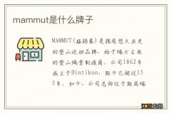 mammut是什么牌子