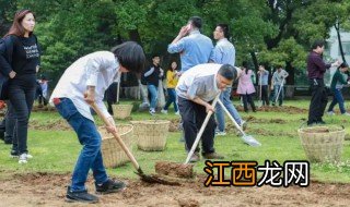 三爱三节是什么意思,三爱三节是什么意思呀