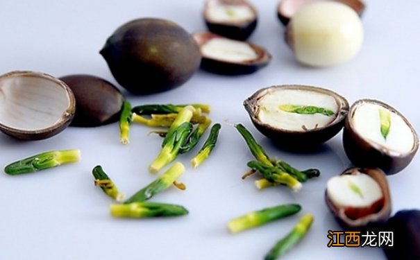 莲子心与什么搭配好?莲子心和什么泡水喝功效好?