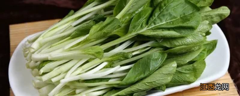 小白菜的各种吃法