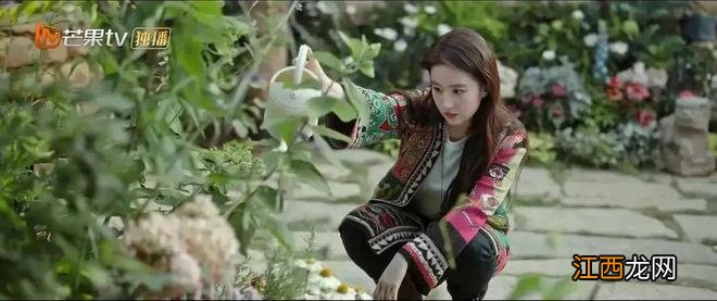 连刷十集，内娱太缺这种剧了