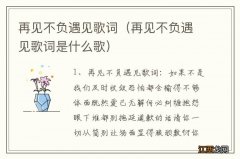 再见不负遇见歌词是什么歌 再见不负遇见歌词