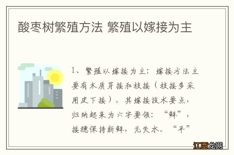 酸枣树繁殖方法 繁殖以嫁接为主