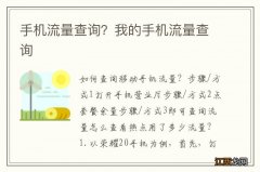 手机流量查询？我的手机流量查询