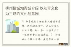 柳州柳城知青城介绍 以知青文化为主题的文化创意园