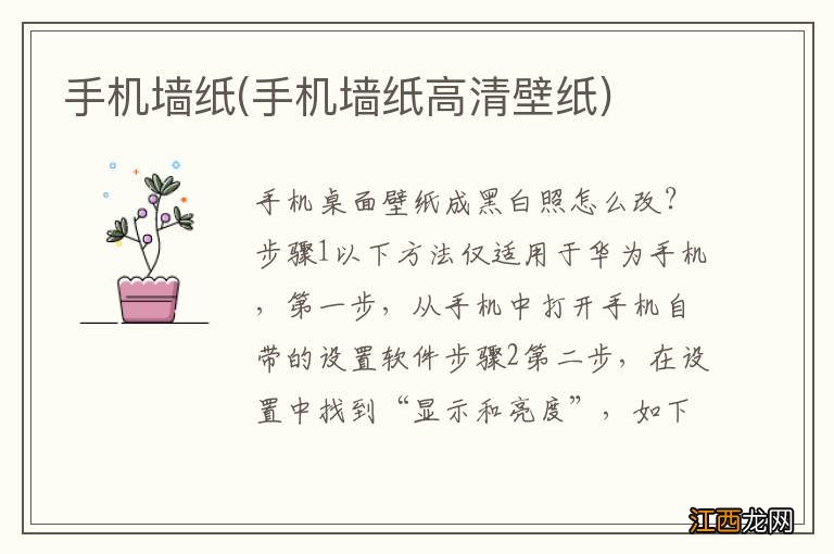 手机墙纸高清壁纸 手机墙纸