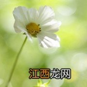 毛囊炎怎么治疗最有效