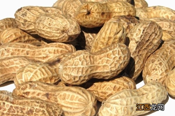 冬天吃花生能御寒,但别和3种食物同吃