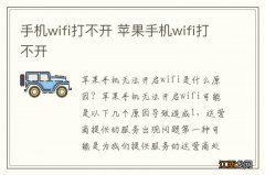 手机wifi打不开 苹果手机wifi打不开