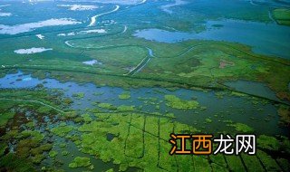 湿地称为什么 湿地是什么