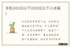 300元以下小冰箱 手机300元以下