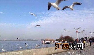 海埂公园介绍 人们休闲度假的佳境