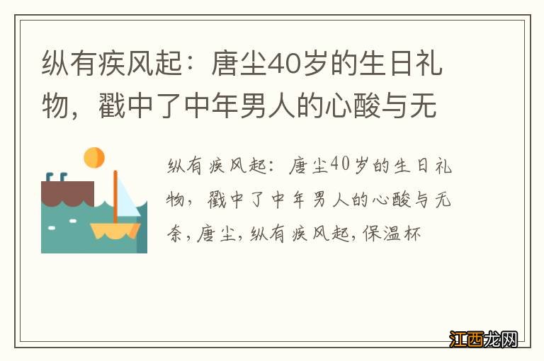 纵有疾风起：唐尘40岁的生日礼物，戳中了中年男人的心酸与无奈