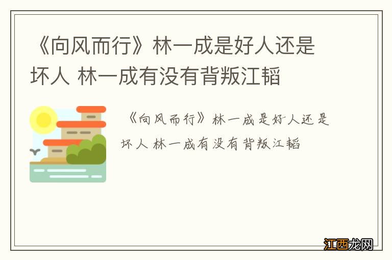 《向风而行》林一成是好人还是坏人 林一成有没有背叛江韬