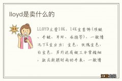 lloyd是卖什么的