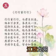 为什么河里的鱼养不活