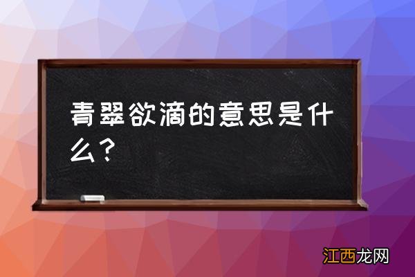 舞蹈学可以考公务员吗