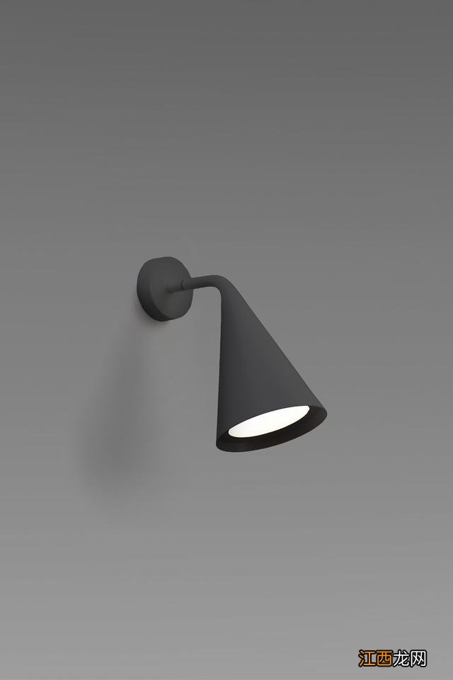 草书大王讲了什么故事