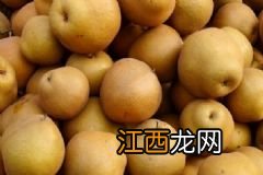 常见果核食物有什么养生作用？果核食物的食疗价值有哪些？