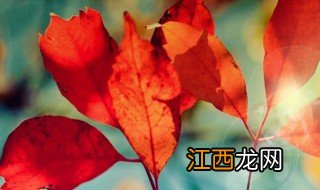 10月唯美句 10月唯美句有哪些