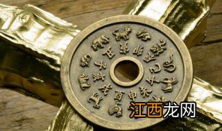 生肖鸡适合养什么植物 生肖鸡适合养什么植物好