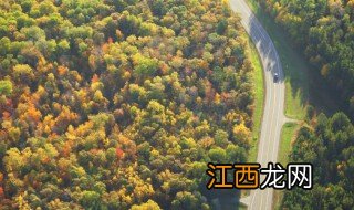 什么叫林地 林地的介绍