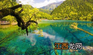 九寨沟65岁以上免门票吗 带上父母一起去玩吧