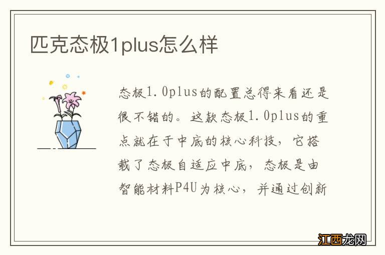 匹克态极1plus怎么样