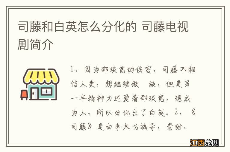 司藤和白英怎么分化的 司藤电视剧简介