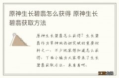 原神生长碧翡怎么获得 原神生长碧翡获取方法