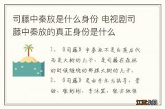 司藤中秦放是什么身份 电视剧司藤中秦放的真正身份是什么