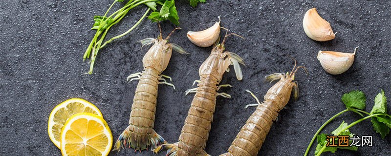 皮皮虾能养殖吗 知乎 皮皮虾能养殖吗