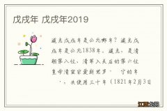 戊戌年 戊戌年2019