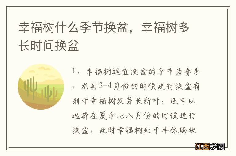 幸福树什么季节换盆，幸福树多长时间换盆