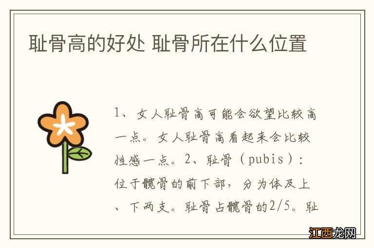 耻骨高的好处 耻骨所在什么位置
