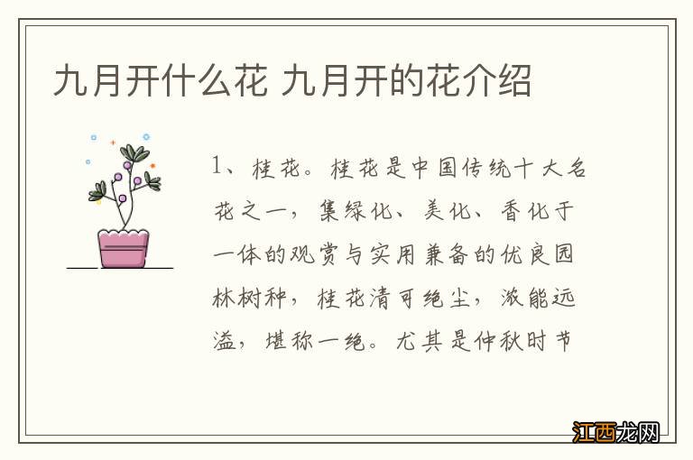 九月开什么花 九月开的花介绍