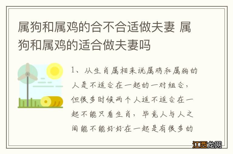 属狗和属鸡的合不合适做夫妻 属狗和属鸡的适合做夫妻吗