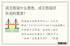 成王败寇什么意思，成王败寇尽东流的意思？