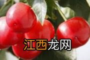 治疗尿酸高痛风秘方 5种食材做食疗可治痛风