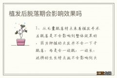 植发后脱落期会影响效果吗