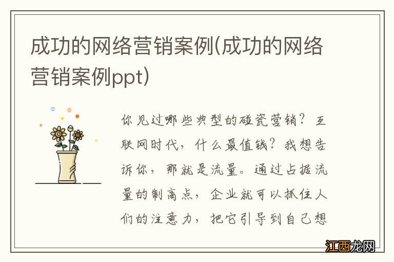 成功的网络营销案例ppt 成功的网络营销案例