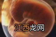 宝宝体质不好什么原因