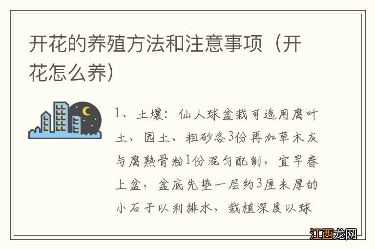 开花怎么养 开花的养殖方法和注意事项