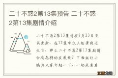 二十不惑2第13集预告 二十不惑2第13集剧情介绍