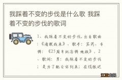 我踩着不变的步伐是什么歌 我踩着不变的步伐的歌词