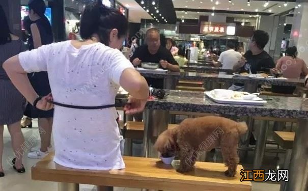 一对男女用公共餐具喂狗，和狗共用餐具会怎样？