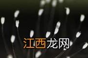 宝宝冬天脸红怎么回事