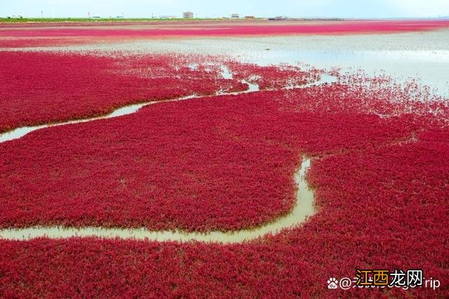 9月去哪旅游？这几个地方的秋景美爆了